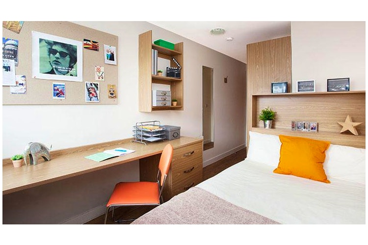 Thurso Street City Room Rentals